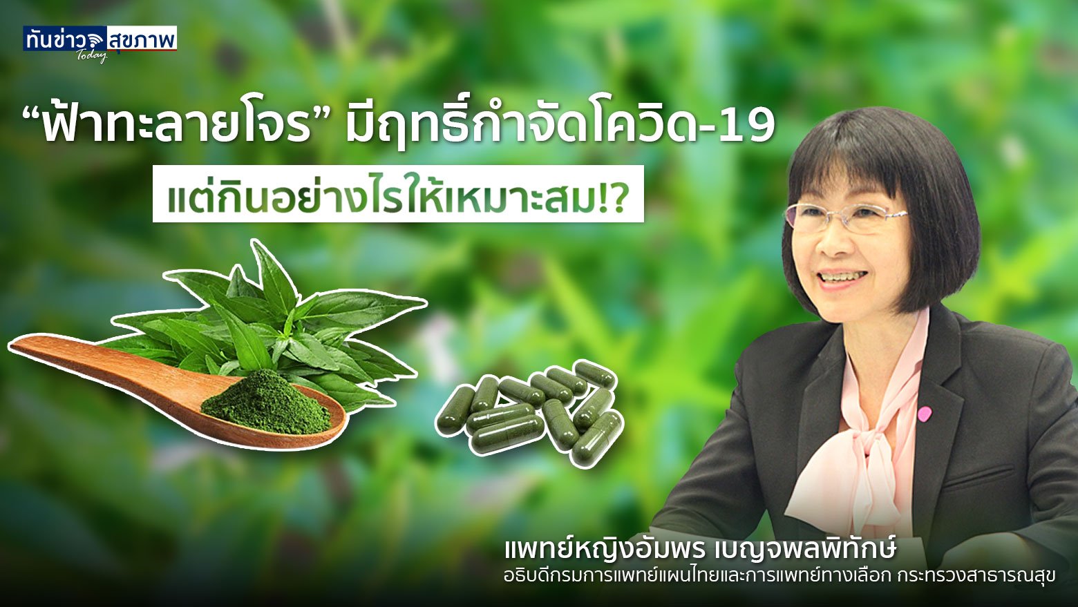 “ฟ้าทะลายโจร” มีฤทธิ์กำจัดโควิด-19 แต่กินอย่างไรให้เหมาะสม!?