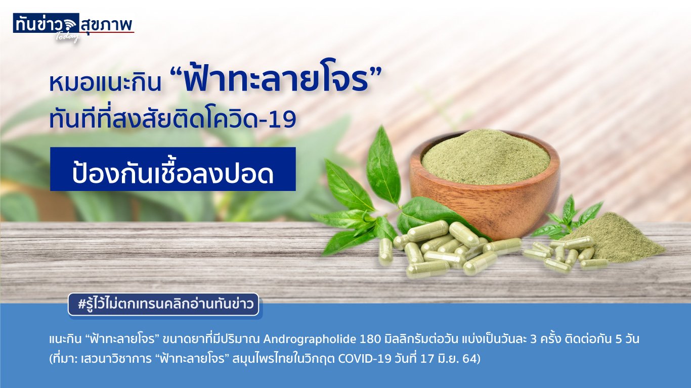 หมอแนะกิน “ฟ้าทะลายโจร” ทันทีที่สงสัยติดโควิด-19  ป้องกันเชื้อลงปอด