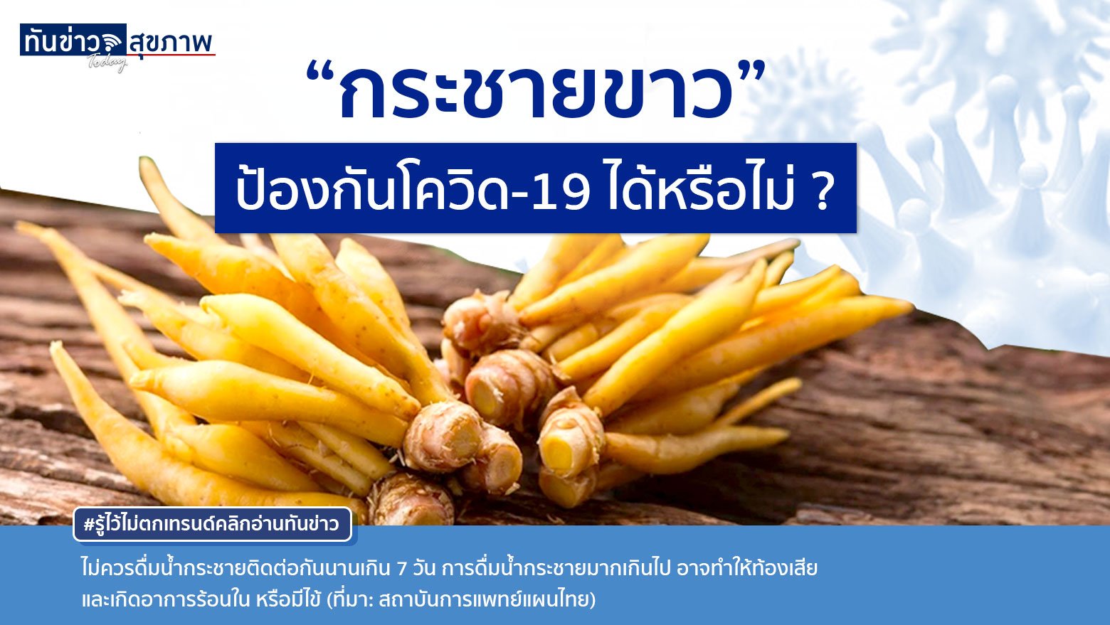 “กระชายขาว” ป้องกันโควิด-19 ได้หรือไม่ ?