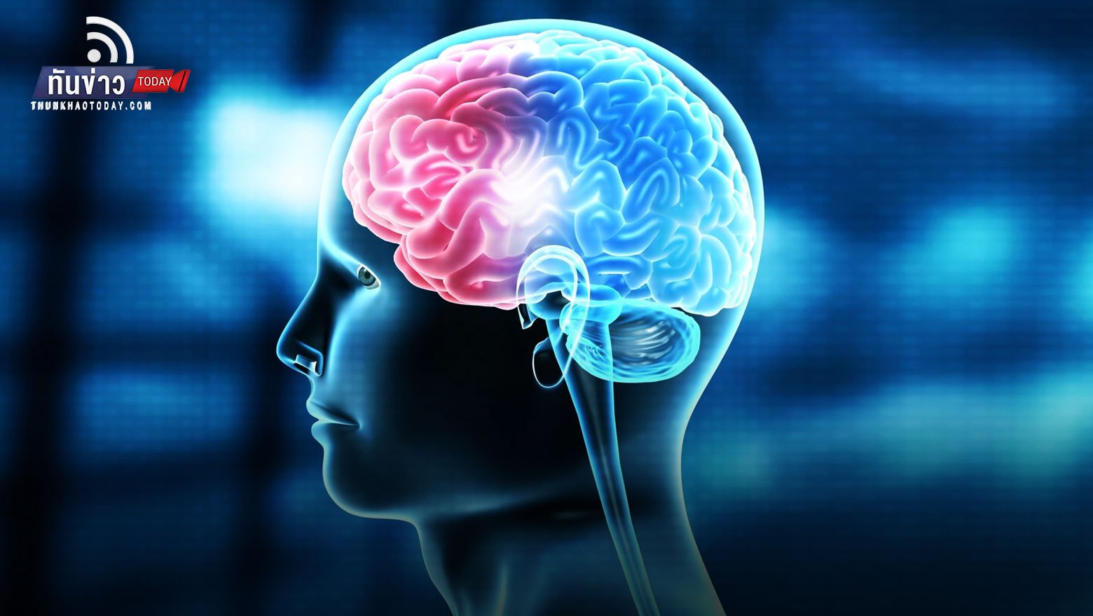 งานวิจัยออกซ์ฟอร์ดชี้ ติดเชื้อโควิด-19 ทำให้ “สมองเล็กลง”