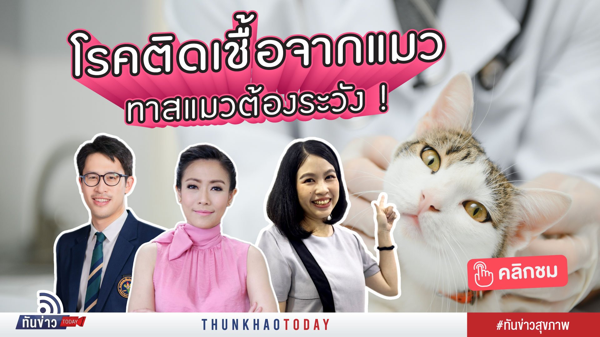 โรคติดเชื้อจากแมว ภัยใกล้ตัวที่ทาสแมวต้องรู้